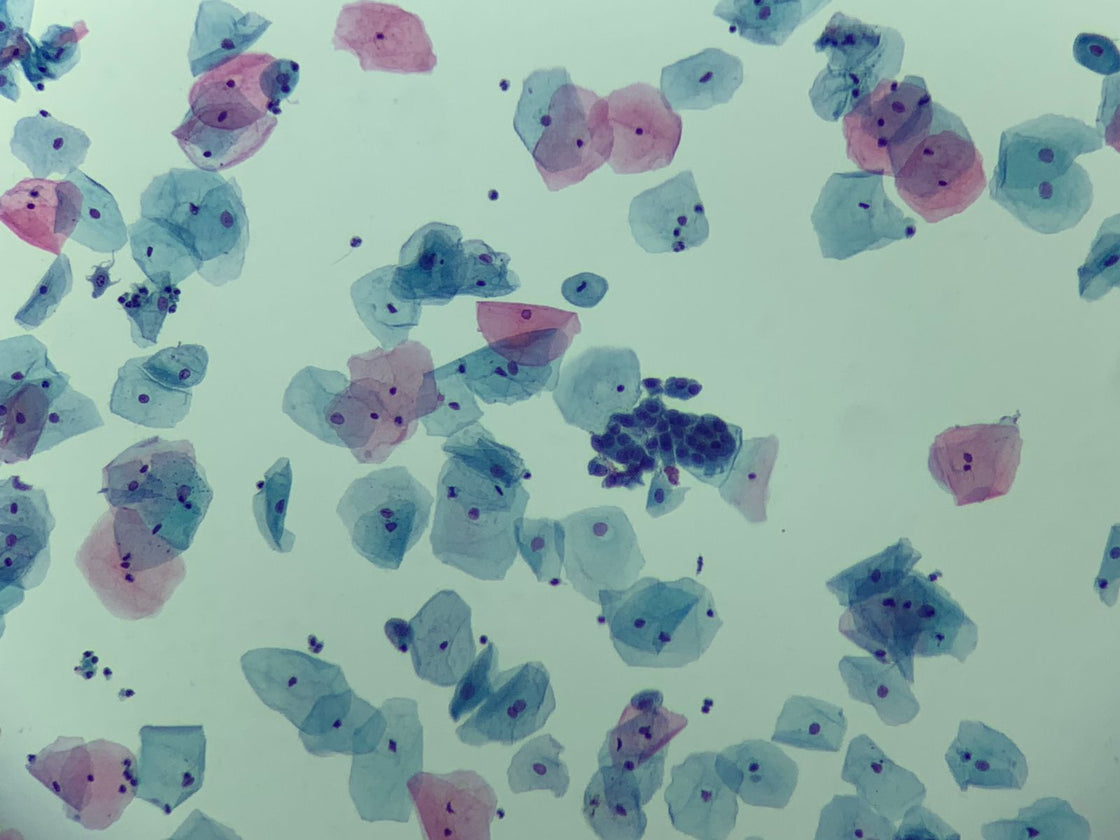 Células glandulares